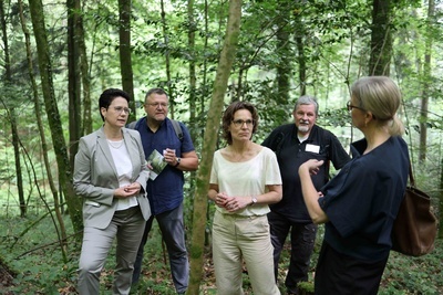 Von links nach rechts: Marion Gentges, Ministerin f�r L�ndlichen Raum, Landwirtschaft und Heimat des Landes Baden-W�rttemberg, Tom� Vr�ka, Pr�sident von Pro Silva Europa, EU-Umweltkommissarin Jessika Roswall, ANW-Bundesvorsitzender Hans von der Goltz und Stefanie Schmidt, Policy Officer for Forests im Generaldirektorat f�r Umwelt der EU-Kommission, bei der Exkursion im Forstrevier Allerheiligen | Foto: Simon Pena Pereira